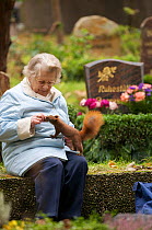 Elderly lady feeding walnut to Red squirrel (Sciurus vulgaris) by hand, cemetery "In den Kisseln", Berlin, Germany, November