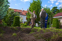 City hunter and residents evaluating damage caused by Wild boar (Sus scrofa) to garden in the Gartenstadt Falkenberg, Berlin, Germany, May 2009