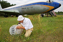 Entomologist making field observations at Tegel airport, Berlin, Germany, July 2008