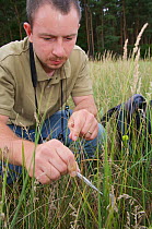 Entomologist making field observations at Tegel airport, Berlin, Germany, July 2008