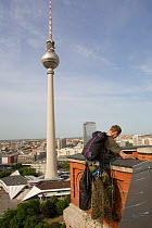 Andre Laubner abseiling from the tower of Rotes Rathaus in order to ring Peregrine falcons (Falco peregrinus) in their nest, Alexanderplatz, Berlin, Germany, May 2008