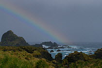 Scenic landscape with rainbow around Hurd Point, Macquarie Island, Southern Atlantic, Australian Antarctica, November 2007