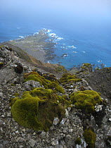 Scenic landscape around Hurd Point, Macquarie Island, Southern Atlantic, Australian Antarctica, November 2007