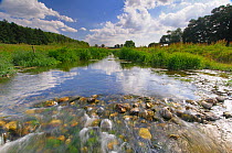 The River Stiffkey, Norfolk, UK, July
