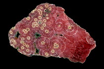 Rhodochrosite (MnCO3), an ore of manganese. Cross-section of a stalactite. Argentina