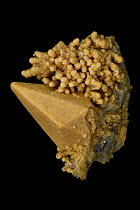 Calcite crystal (CaCO3, calcium carbonate) covered with siderite (FeCO3, iron carbonate). Drouba Mine, Rhodopi Mountains, Bulgaria