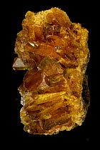 Selenite (CaSO4-2H2O, Hydrous calcium sulfate), a form of Gypsum formed in evaporite deposits. Mexico