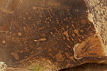 Newspaper Rock petroglyphs, made by indigenous people inhabiting the Puerco river valley 650- 2000 years ago, Petrified forest National Park, Arizona, USA, August 2010