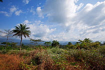 View towards Nimba Mountain range from Bossou Forest, Mont Nimba, Guinea, December ember 2010