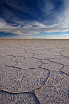 Patterns created by dried salt on the earth's surface, salt flats of Salar de Uyuni, Bolivia, December 2009