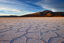 Patterns created by dried salt on the earth's surface, salt flats of Salar de Uyuni, Bolivia, December 2009