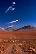 The road to Ojo de Perdiz, high on the altiplano, Bolivia, December 2009
