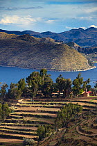 Terraces on Isla del Sol, Lake Titicaca, Bolivia, December 2009