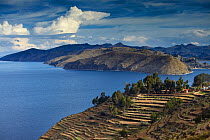 Terraces on Isla del Sol, Lake Titicaca, Bolivia, December 2009