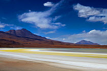 The remote region of high desert, altiplano and volcanoes near Tapaquilcha, Bolivia, December 2009