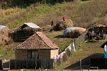 Strip agriculture in Romany village, part of a peasant economy and high quality landscape maintained by NGO ADEPT and EEC grants. Romania, October 2010