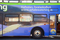 Advertisment for whale watching tours on the side of a bus. Reykjavik, Iceland, July 2009