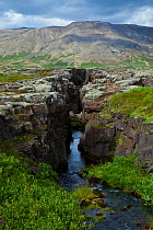 Stream running down a rift in the rift valley at the crest of the Mid-Atlantic Ridge, Pingvellir / Thingvellir National Park, Iceland, July 2009