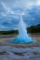 Strokkur geyser errupting. The geyser is in the  geothermic region beside the Hvítá River. Iceland, July 2009