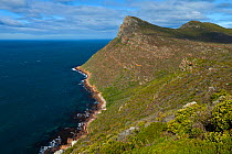 View of Cape Point, Cape Peninsular, South Africa, July 2010