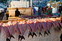 Filleted fish laid out in the fishing village of Kalk Bay, False Bay, South Africa
