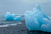 Icebergs washed up onto the beach in Jokulsarlon Lagoon, Vatnajokull Glacier, Iceland, July 2009