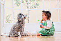 Portrait of young girl, blowing bubbles with Toy Poodle