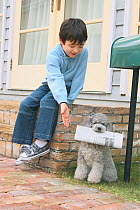 Young boy sitting on wall, with Toy Poodle holding newspaper in mouth, next to letterbox