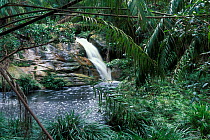 Waterfall in rainforest, Bako NP, Borneo, Sarawak, Malaysia