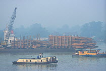 Timber stacked ready for transportation, logging in central Borneo, Sarawak, Malaysia