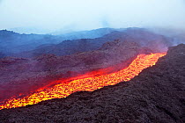 Aerial view of a river of lava flowing from the Pacaya volcano, Los Pocitos, Guatemala, Central America, June 2010