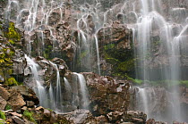 Spray Falls, Mt. Rainier NP, Washington, USA