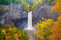 Taughannock Falls, near Ithaca, New York, in autumn after a day of heavy rainfall. October 2010. At 215 feet, Taughannock Falls is 33 feet taller than Niagara Falls.