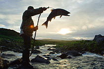 Silhouette of fisherman catching migrating Salmon (Salmonidae) on spear, Lake Kuril, Kamchatka, Far East Russia, July 2006