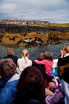 People watching Grey seals (Halichoerus grypus) from on board boat, Farne Islands, Northumberland, England, July 2010.