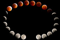 An orbital presentation of the eclipse of the moon as seen from Aurora, Colorado, USA, on the evening of December 20, 2010 and the early morning of December 21, 2010. Composite