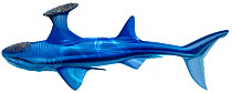 Stethacanthus (prehistoric shark) - extinct.