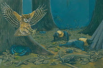 Illustration of Tafforet's lizard-owl / Leguat's owl / Rodriguez little owl (Mascarenotus murivorus) - extinct 1761 - pouncing on giant night gecko (Nactus sp.) (centre bottom),the largest of the Masc...