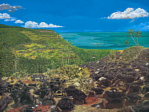 Illustration of Giant tortoises,late 17th century,Mauritius,Rodrigues above present-day Port Mathurin. As described by Francois Leguat,the land was covered with tortoises for up to a hundred paces. Is...