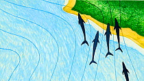 Illustration of magnetic fields and dolphins stranding (Wildlife Art Company).