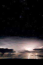 Lightning storm over the Australian outback at dusk. Queensland, Australia, February 2008