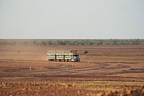 The massive Australian roadtrains rule the outback roads. The longest these trucks get is up to 53 metres.  Queensland, Australia, February 2008