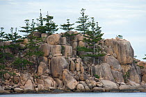 Granite rocky coast of Magnetic Island. Queensland, Australia, February 2008