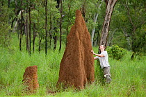 Researcher Guido Westhoff checking out a massive termite mound searching for snakes. Queensland, Australia, February 2008