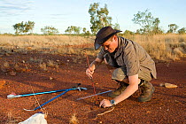 Researcher Guido Westhoff handling a curl snake (Suta suta) caught earlier in Corella Dam. Queensland, Australia, February 2008