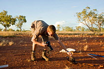 Researcher Guido Westhoff covering a curl snake (Suta suta) with his hat to encourage it to coil and rest quietly for photography. Queensland, Australia, February 2008