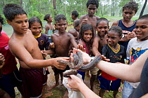 Lauren Collings, the local snake breeder from Weipa, shows her pet spotted python (Antaresia maculosa) to the Aboriginal children of Napranum Aboriginal community. Queensland, Australia, February 2008
