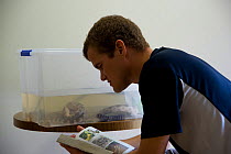 Researcher Guido Westhoff leafing through his snake ID book with a crate of sea snakes in the background. Queensland, Australia, February 2008