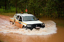 The GEO snake expedition team braving the flooded waters to follow the lead of an aboriginal man looking for snakes in their sacred place. Queensland, Australia, February 2008. Model released.