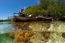 Split-level shot of a shallow coral reef and mangroves with local West Papuan man in a dugout canoe. North Raja Ampat, West Papua, Indonesia, February 2010